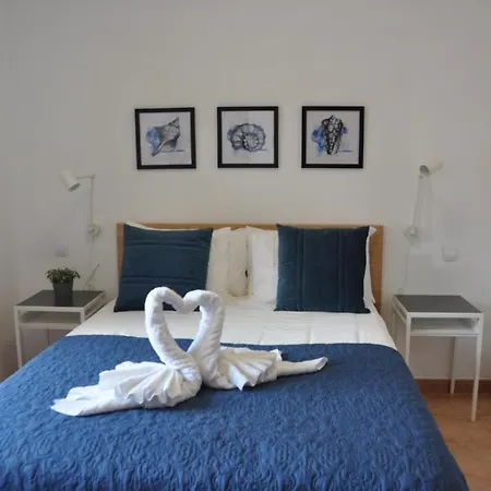 Surprise Only Solar Energy * 科斯塔卡莱塔